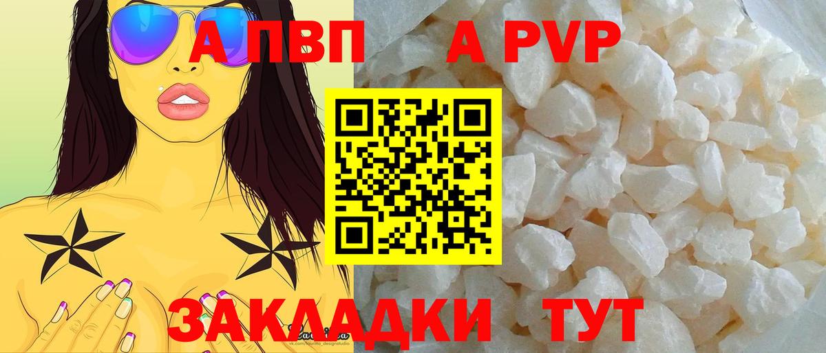 Alfa_PVP СК Балтийск