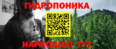 мяу мяу мука Канаш